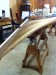 Thumbnail 13-stem.JPG 