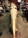 Thumbnail 23-topstrip3.JPG 