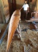 Thumbnail 51-sanding.JPG 