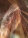 Thumbnail 93-strap.JPG 