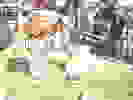 Thumbnail pouring-1.jpg 