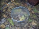 Thumbnail 080721-018.jpg 