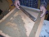 Thumbnail download-20090214-003.jpg 
