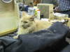Thumbnail IMG_5996-2.JPG 