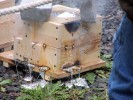 Thumbnail pme200610-017.jpg 