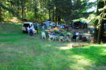 Thumbnail DSC_0008.jpg 