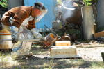 Thumbnail DSC_0027.jpg 