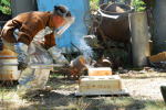 Thumbnail DSC_0028.jpg 