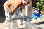 Thumbnail DSC_0038.jpg 