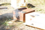 Thumbnail DSC_0039.jpg 