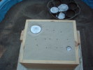 Thumbnail FirstMelt-004.jpg 